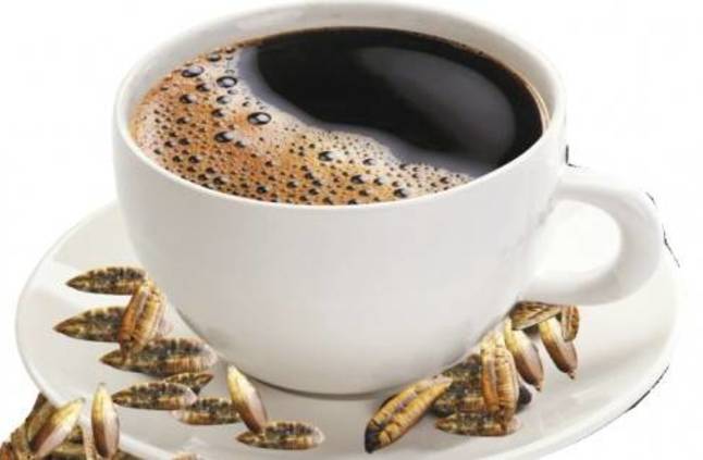 فوائد قهوة نواة التمر